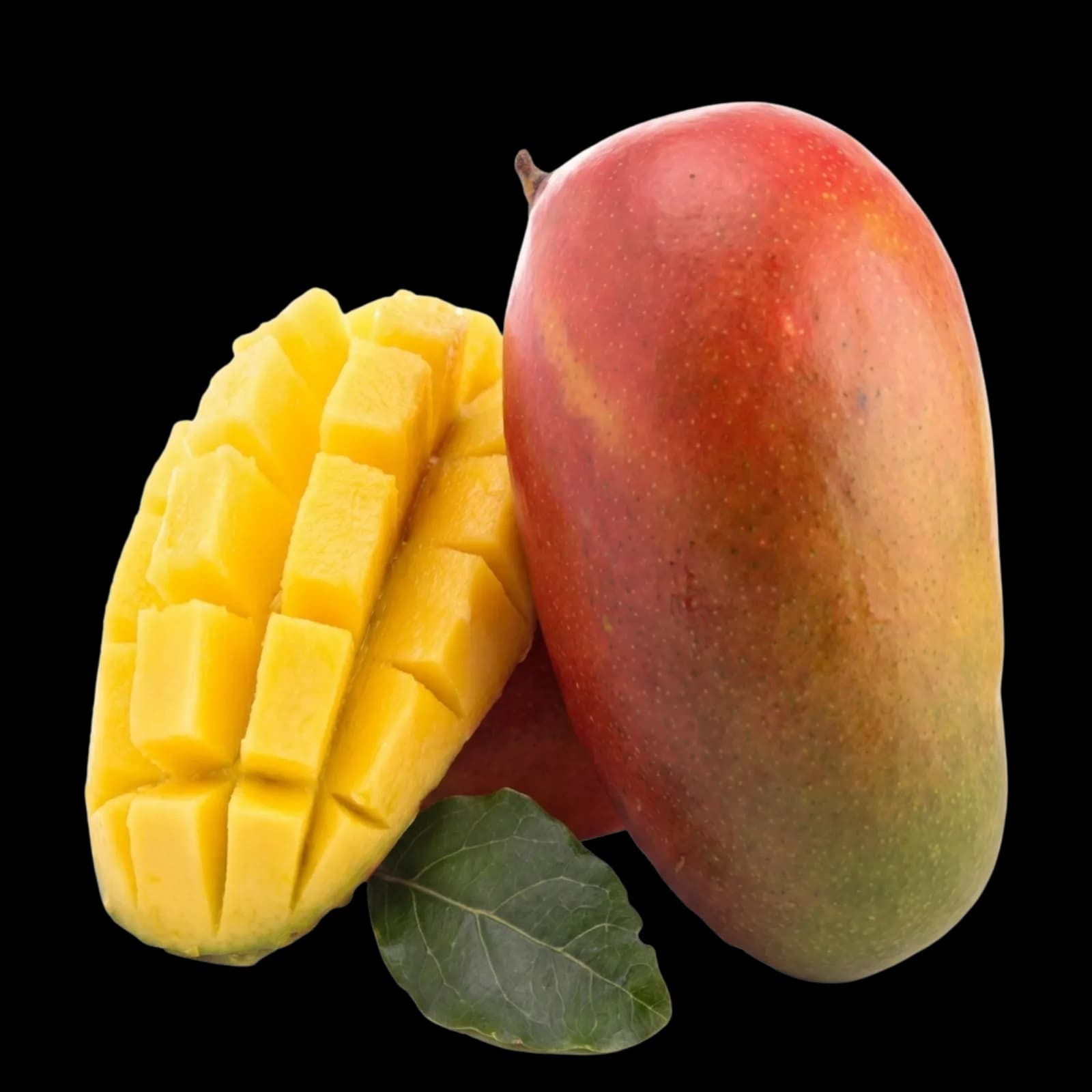 Taze Mango